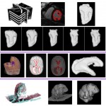 Object Modelling From Sparse And Misaligned 3D and 4D Data