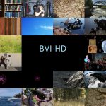 BVI-HD: A Perceptual Video Quality Database for HEVC and Texture Synthesis Compressed Content
